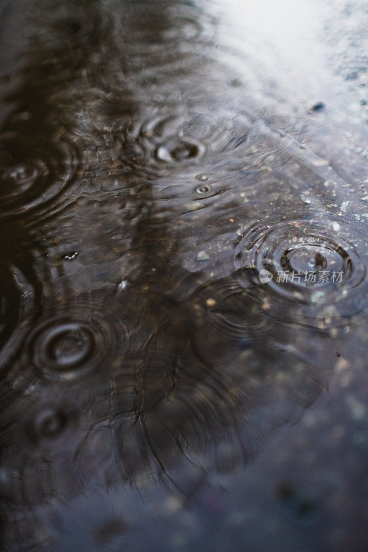 在一个阴沉的冬日，雨点落在路边的水坑里。