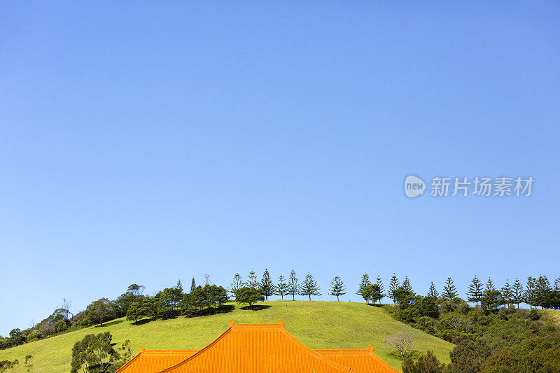 红色屋顶的树木和草地，美丽的自然背景和复制空间