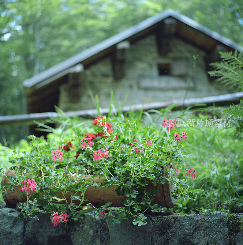 山间小屋