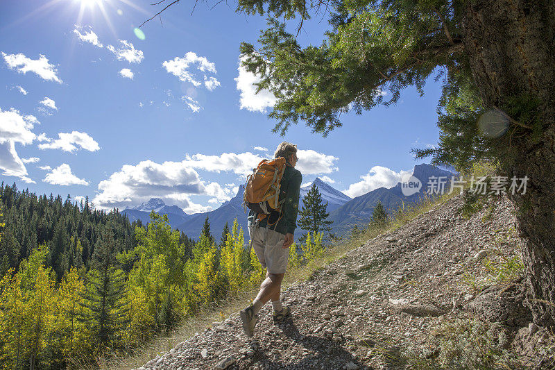 清晨，一个徒步旅行者在森林里探索一条山路