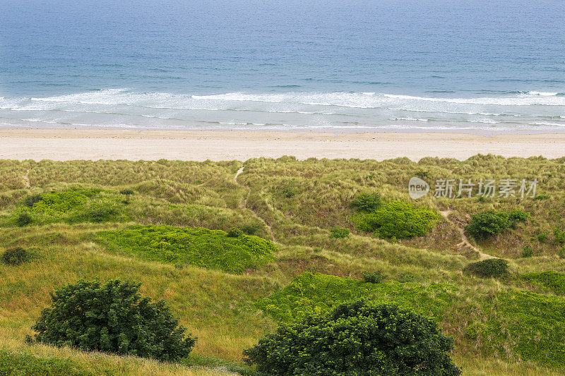 在英国诺森伯兰郡海岸，无数的沙小径穿过长长的草丛，通向海边。