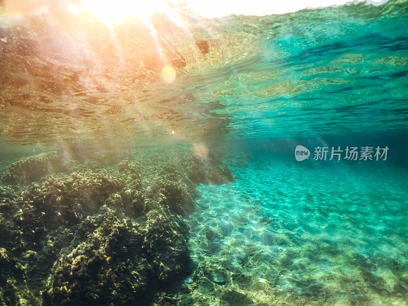 水下海洋风景