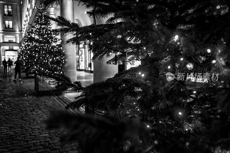 2019年考文特花园圣诞树和彩灯