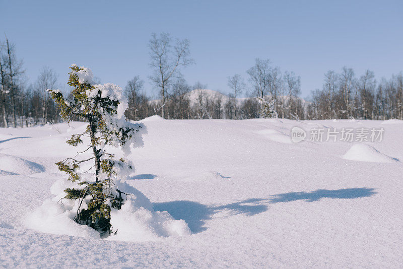 挪威森加岛冬日的雪景