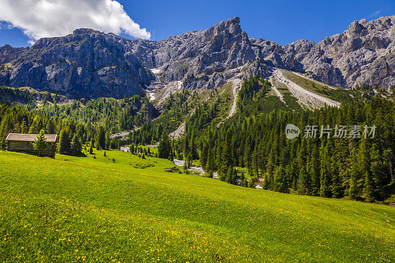 谷仓在田园诗般的阿尔卑斯风景-瓦尔迪富内斯，白云石阿尔卑斯-意大利