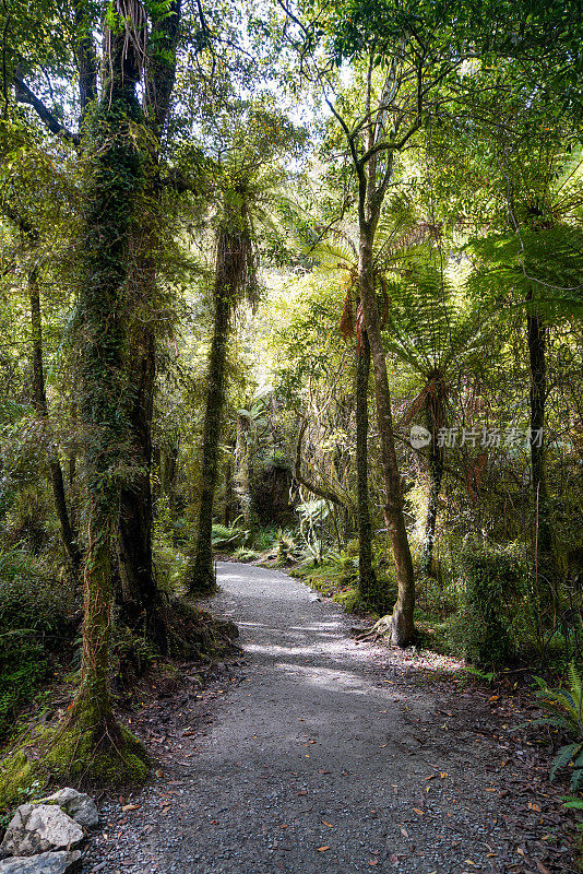 新西兰南岛霍基提卡霍基提卡峡谷风景保护区的小径