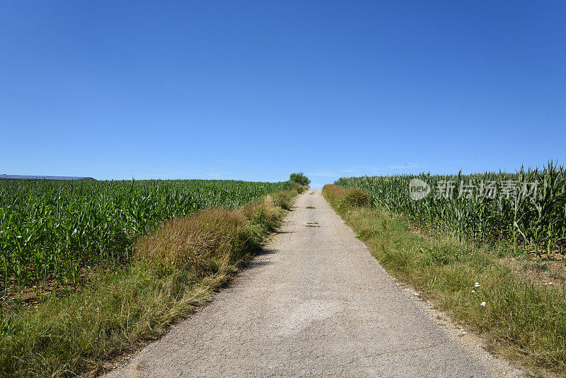 乡间小路