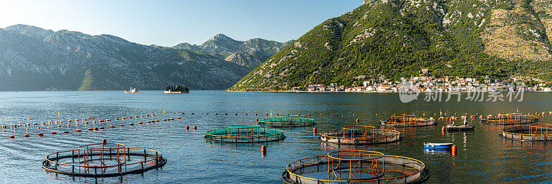 在科托尔湾的养鱼场，佩拉斯特黑山