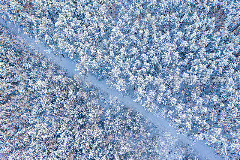 铁路被积雪覆盖的森林所包围的鸟瞰图。