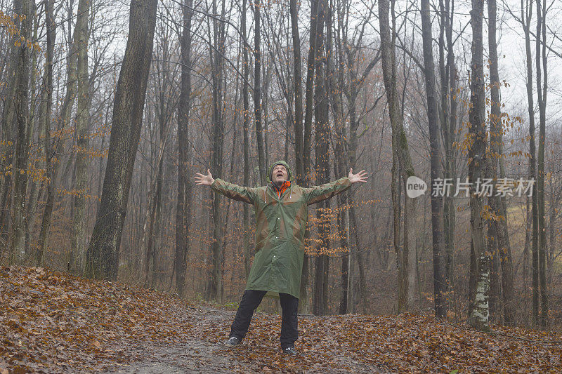 秋雨天在森林里