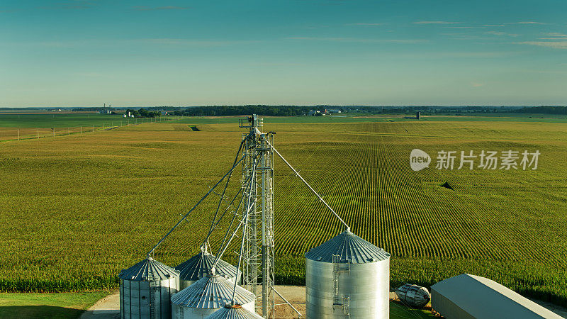 鸟瞰图的筒仓和广阔的玉米田在俄亥俄州