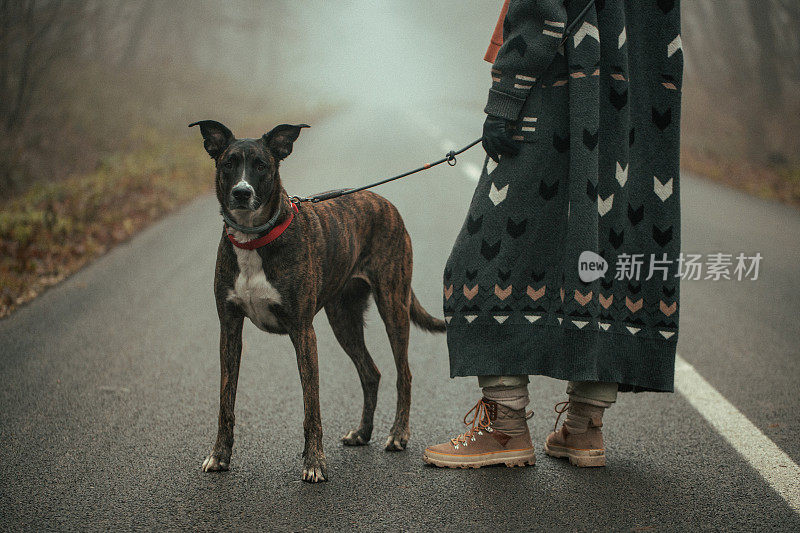 一个年轻的白人女人在遛狗