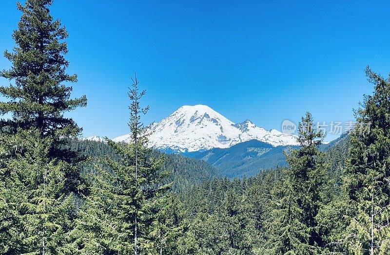 华盛顿雷尼尔山