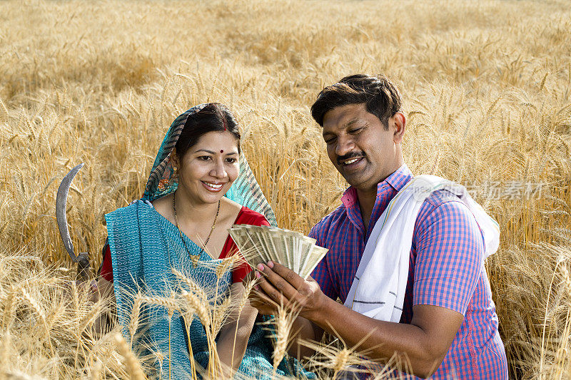 农村夫妇持有印度卢比在农田里