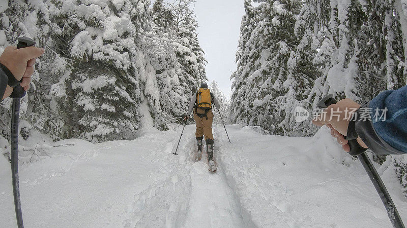年轻人在野外滑雪穿过白雪皑皑的森林