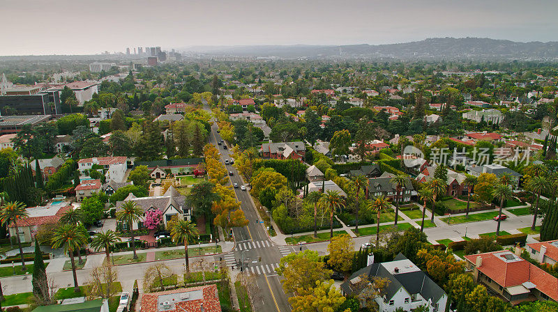 在洛杉矶的汉考克公园地区田园诗般的住房-空中