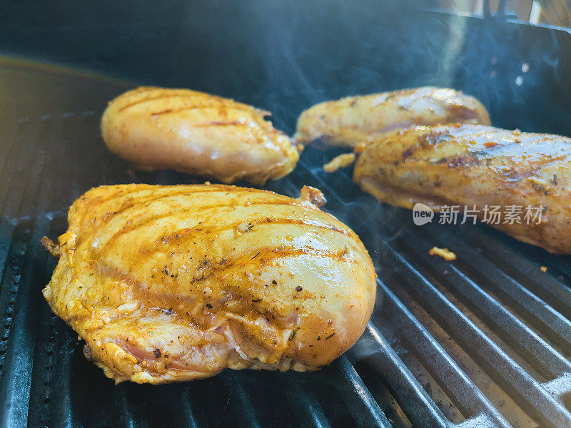 调味烤鸡胸肉户外烧烤食物西科罗拉多烹饪系列照片