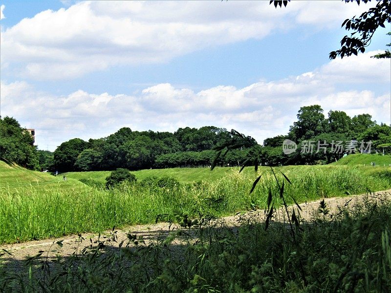 日本。5月底。夏天的风景。