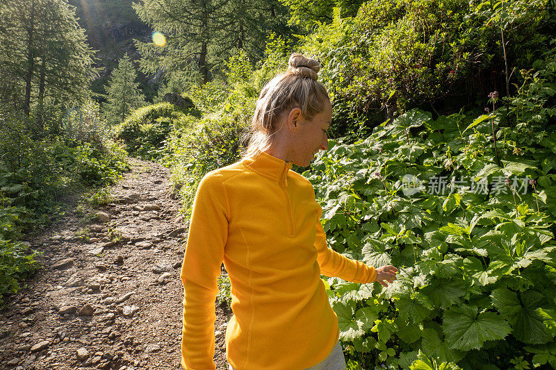 一名年轻女子在高山湖附近的松林远足