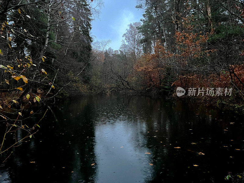 在潮湿的天气里，冬天傍晚森林中央的一个小湖。