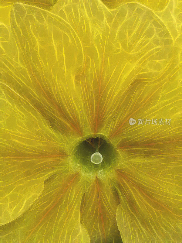 特写微距摄影单发光生动的花卉幻想与精致和复杂的雄蕊在中心