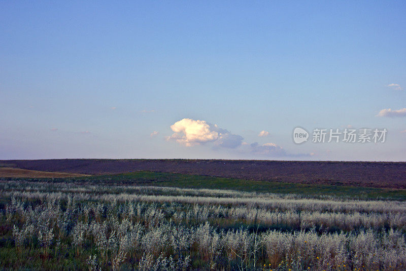 草原风景