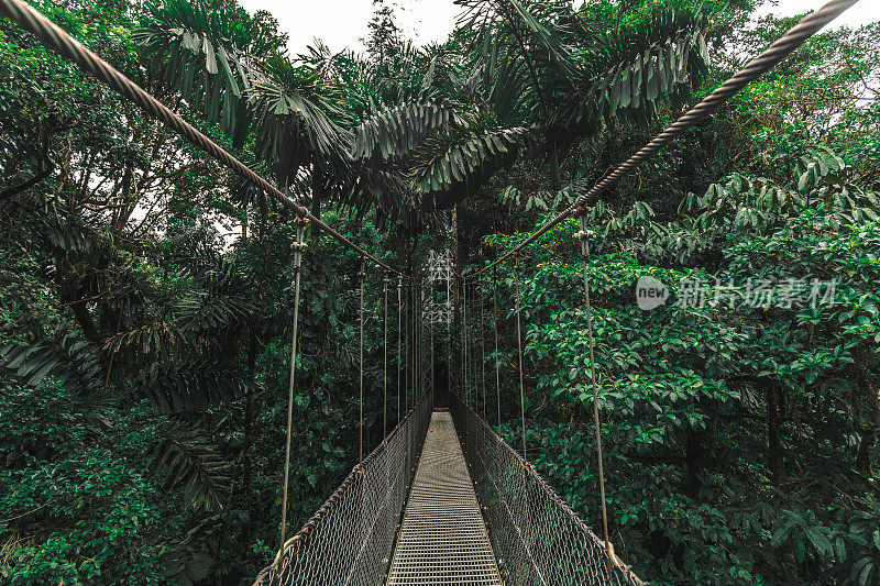 阿伦吊桥，哥斯达黎加