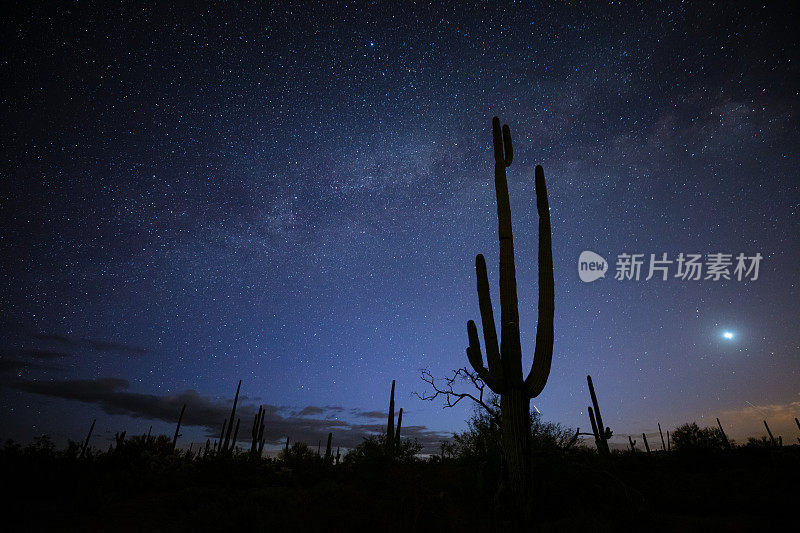 银河掠过亚利桑那州沙漠