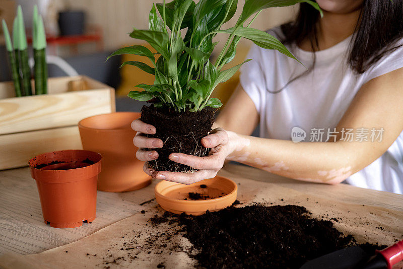 一个不知名的年轻白人妇女在家里照顾她的植物的特写