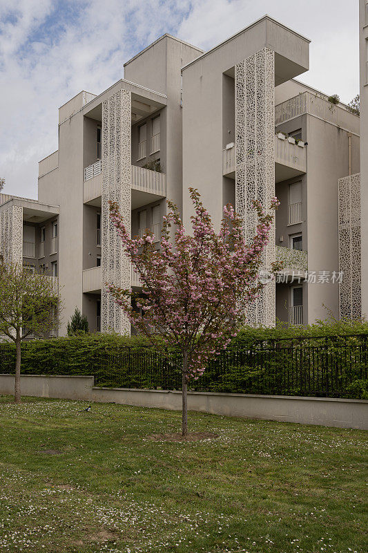 热内维利耶，法国，2022年6月4日:粉红色开花的树木和后面的建筑的特写