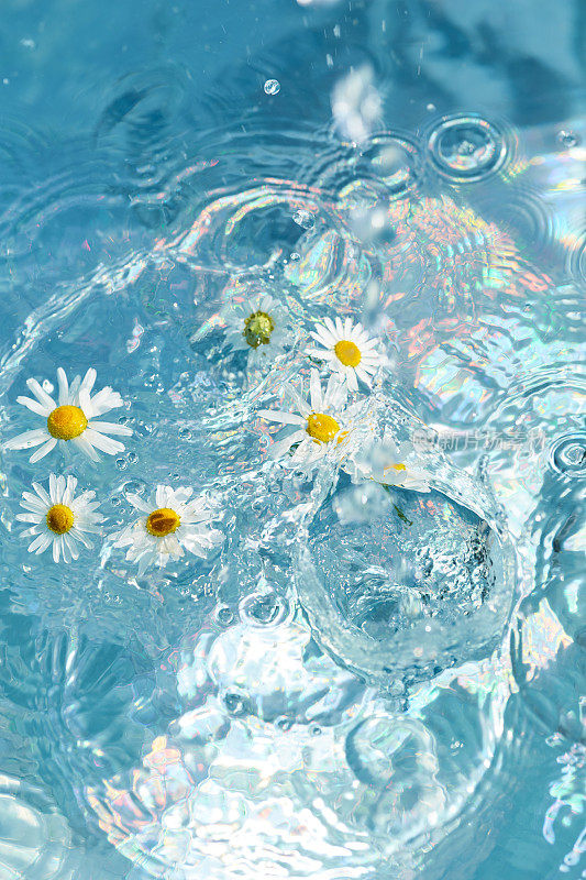 蓝色的水面上开满了雏菊花。水花飞溅，水花飞溅，水花飞溅。夏日心情，美好创意节日背景