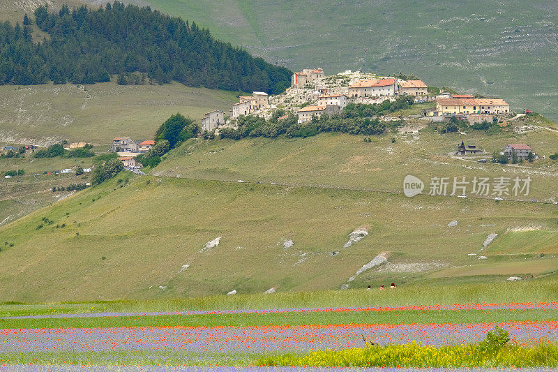 诺尔西亚城堡坐落在五彩缤纷的高原上