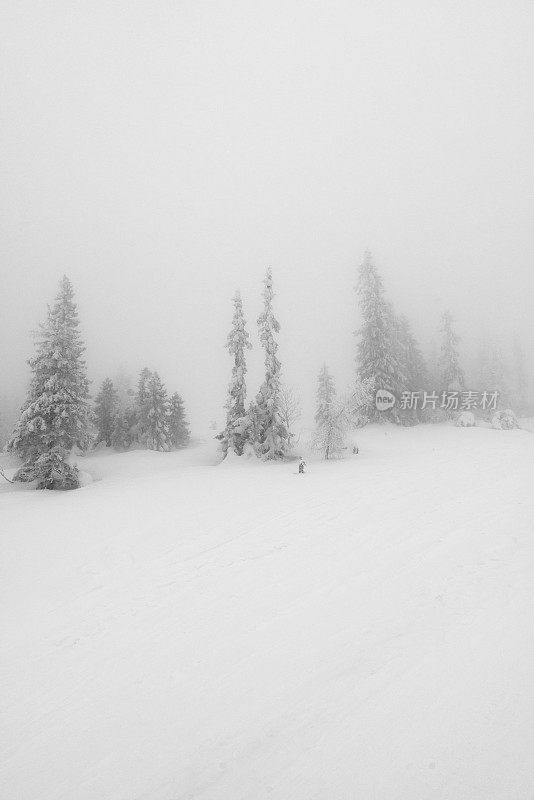 雾和雪在山上