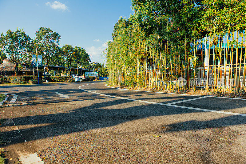 森林中的公路