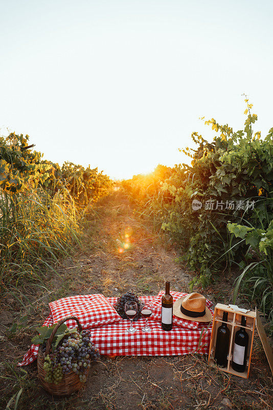 瓶和酒杯与葡萄在农村的场景