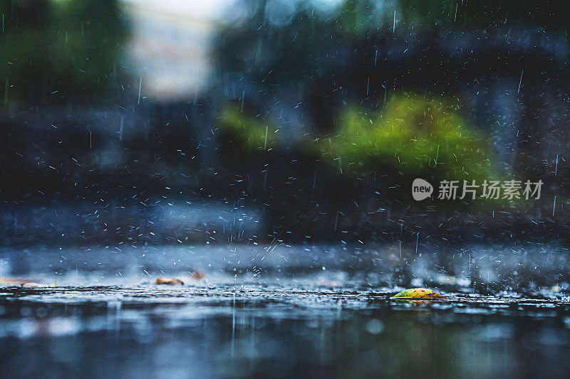 小雨打在沥青。下雨了。多雨的天气。