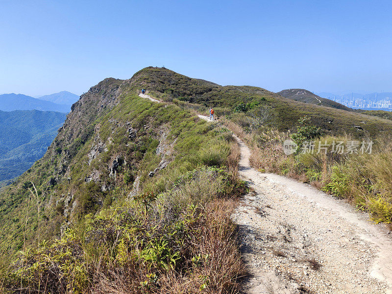 香港八仙岭郊野公园黄冷山远足径