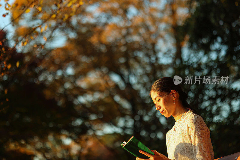 美丽的女士在日落公园的长椅上看书