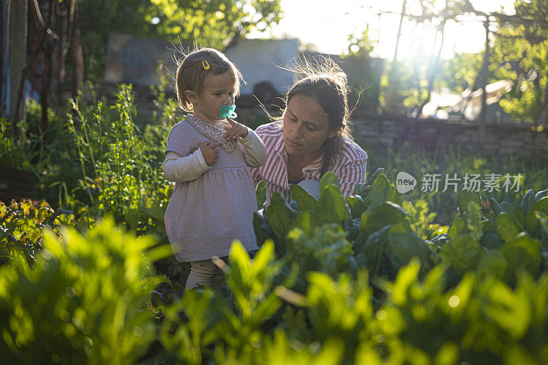 母亲和婴儿在日落时一起园艺。