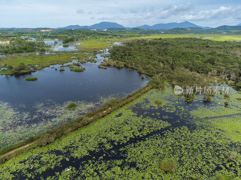 在泰国向公众开放的湿地生态系统——罗勇植物园，鸟瞰皮艇之旅。