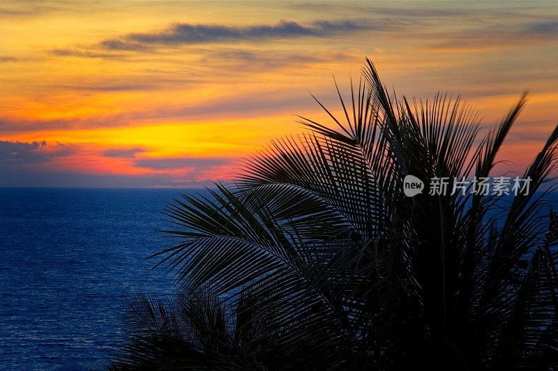 夏威夷大岛上太平洋上生动的日落，棕榈叶在风中摇曳