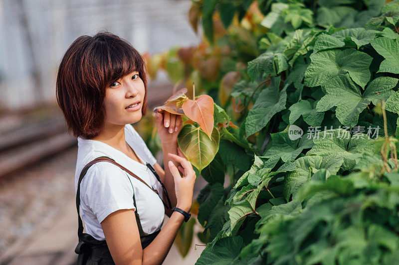 可爱的泰国女音乐家