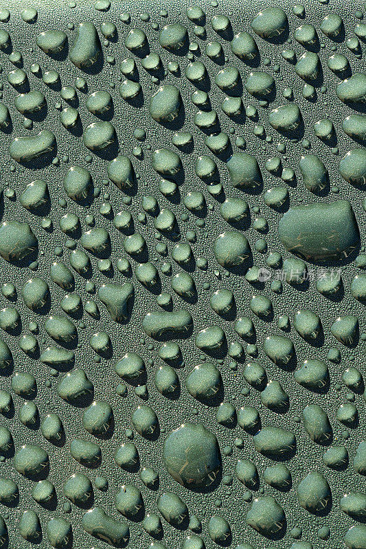 许多阳光水滴在绿色的表面