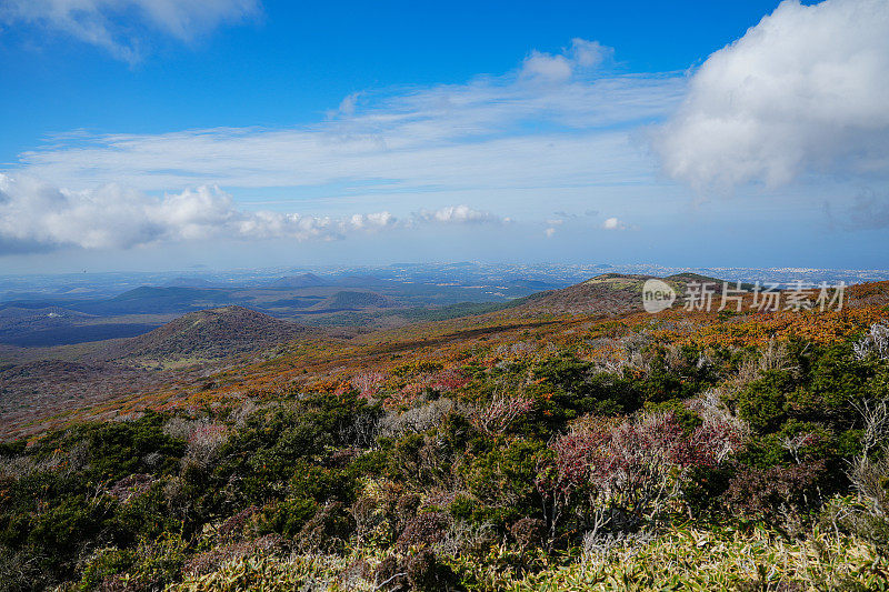 徒步登山(济州汉罗山)