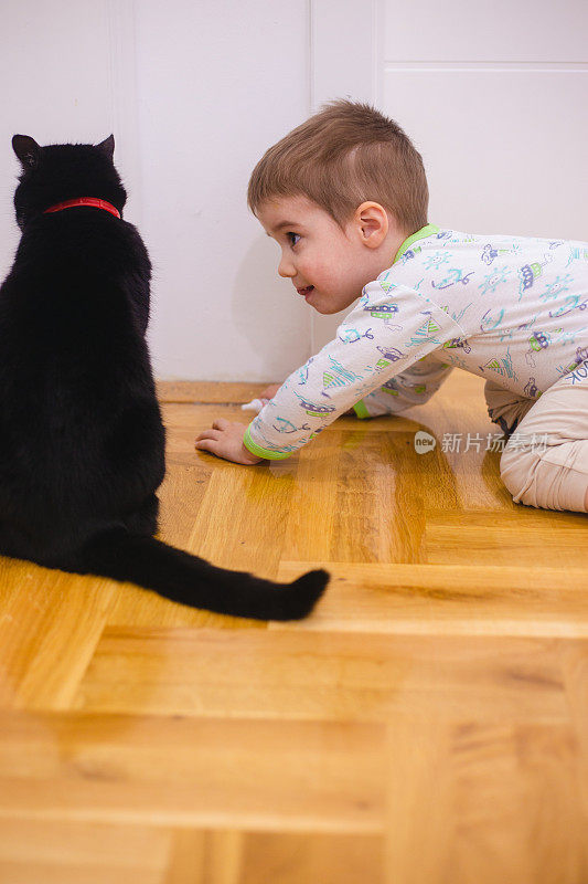 小男孩和猫玩耍的照片