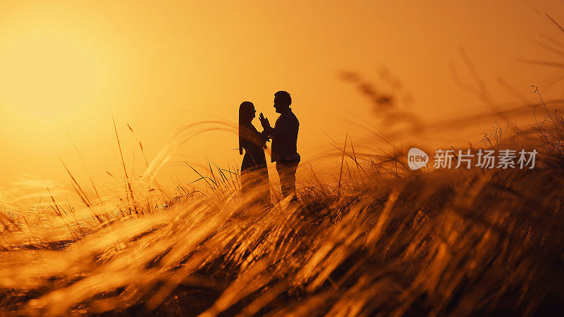 夕阳下的风景有一对恋人，一男一女。夏天美丽的大自然。在风中生长的草的天然小穗。