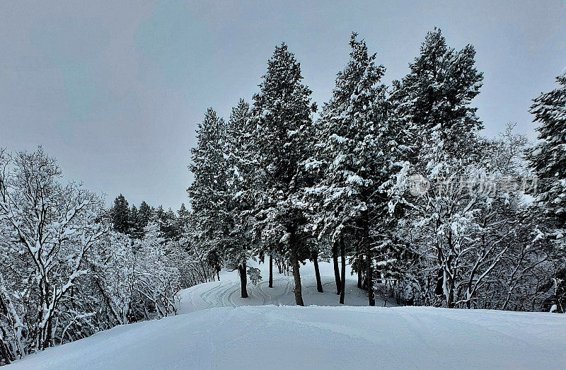 深粉日在北欧山谷滑雪胜地，犹他州。