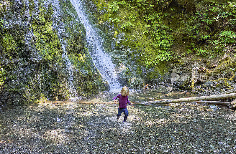 在美国华盛顿州西部美丽的奥林匹克国家公园麦迪逊溪瀑布玩耍的蹒跚学步的女孩。