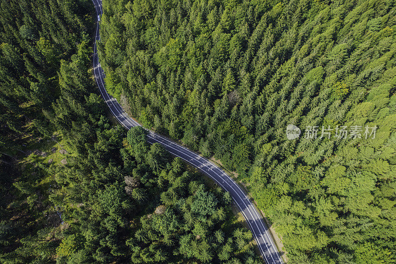 鸟瞰绿色森林中的山路