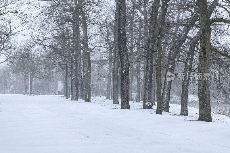 荷兰兹沃勒街道上积雪的冬天景象